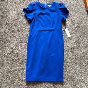 Tulip Sleve Sheath Dress